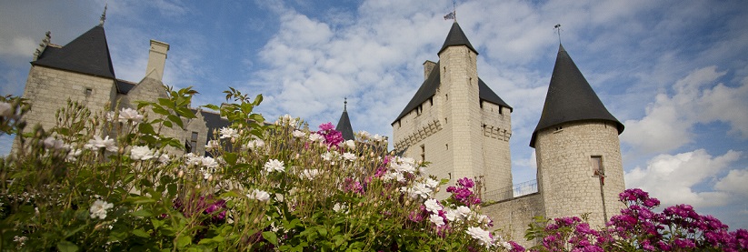 Chateau de la Loire Jardins du château du Rivau Rose