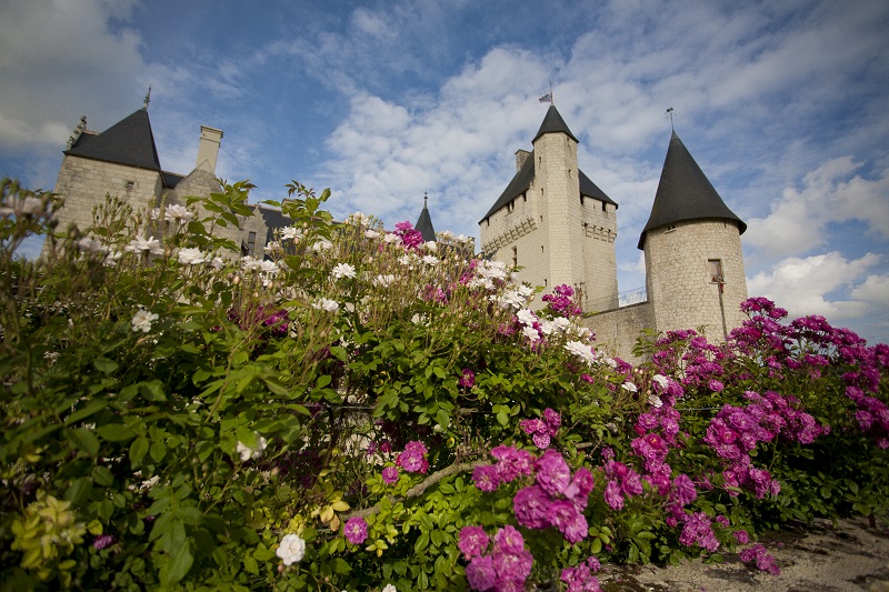 Rose Améthyste Château du Rivau