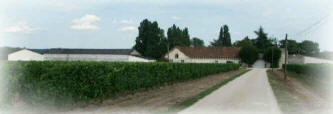 wine cellar cheverny