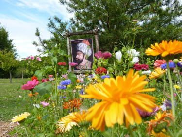 Portraits du parc avec fleurs jaunes