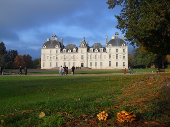 Château de Cheverny