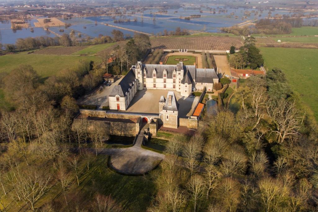 Goulaine vue aérienne vignes et marais