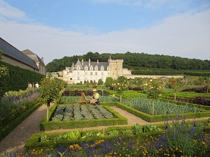 jardins de Villandry en été, peintre au milieu des choux et des fleurs