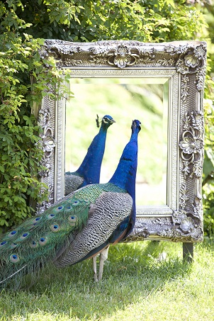 Léon se regardedans le miroir au château du Rivau