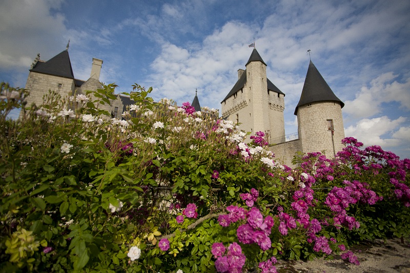 Jardins du Rivau Rose améthyste