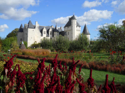 chateau du Rivau jardins fleurs rouges