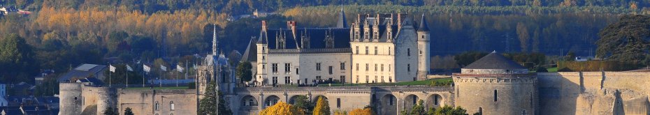 Chateau d'Amboise