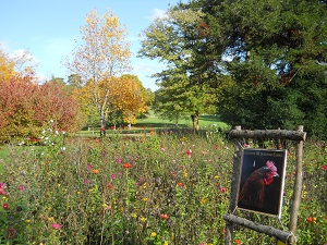 Schlosspark von Beauregard ; lustiges Porträt von einem Huhn